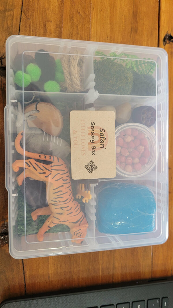 Safari Small Sensory Box | Little Loves & You