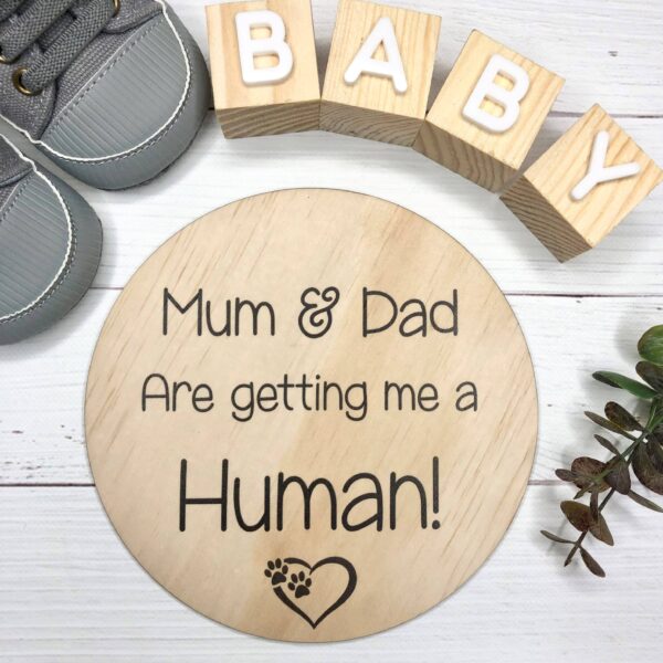 Pregnancy Announcement Disc – Pet | Inspired Wholesale